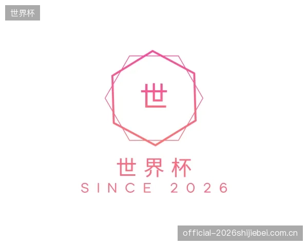 介绍世界杯团队